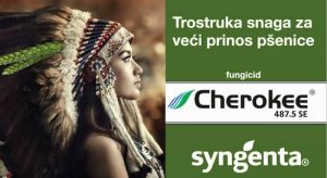Syngenta Cherokee fungicid psenica