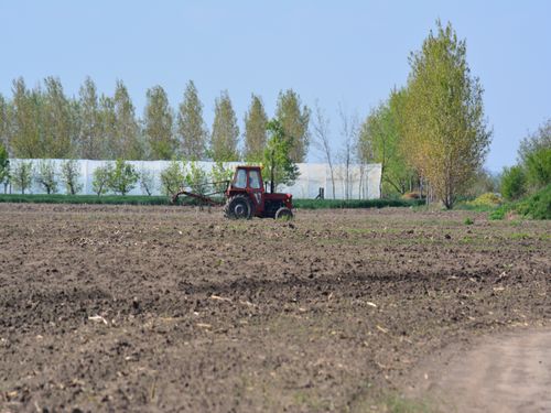 Read more about the article Kreditna linija RFV namenjena kupovini poljoprivrednog zemljišta