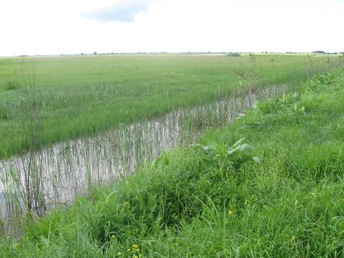 Read more about the article Oglas za zakup vodnog zemljišta u Vojvodini u poljoprivredne svrhe