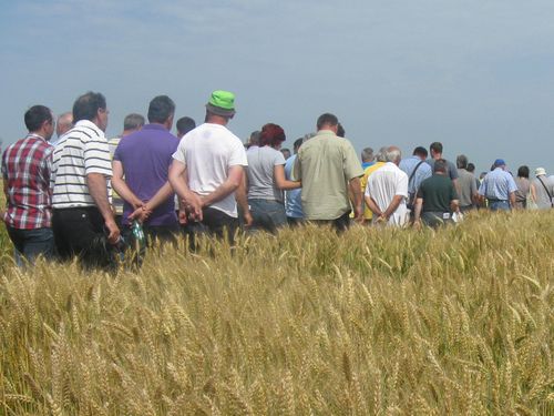 Read more about the article Finansiranje udruženja u oblasti poljoprivrede i ruralnog razvoja