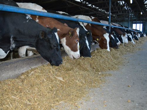 Read more about the article Bespovratna sredstva za opremanje stočarskih farmi