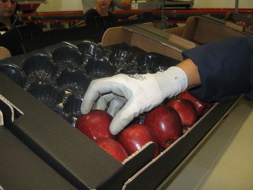 pakovanje jabuka