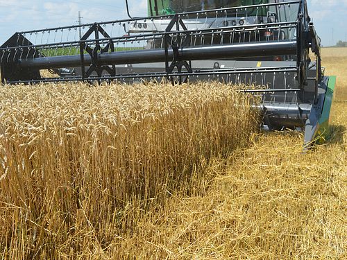 Read more about the article Podešavanje kombajna za žetvu pšenice – nekoliko saveta