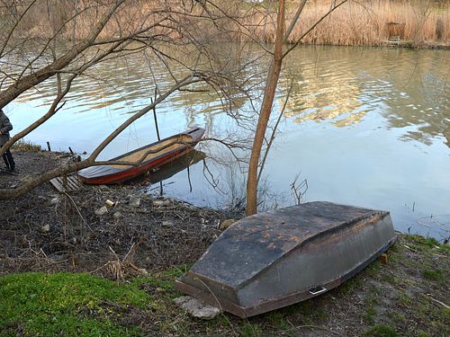 Read more about the article Vanredna odbrana od poplava na Tamišu i dalje na snazi