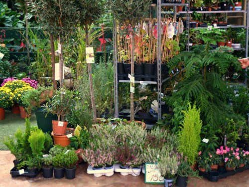 Read more about the article Sajam hortikulture, izložba „Darovi prirode“ i „Organic Fest“ (20-23. maj)