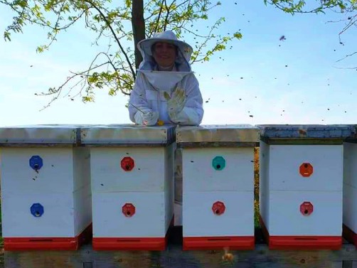 Read more about the article Žene su kao pčele