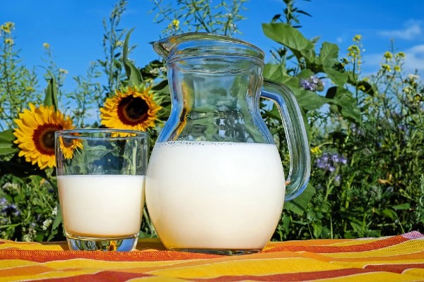 Read more about the article Svetski dan mleka se obeležava u preko sedamdeset zemalja