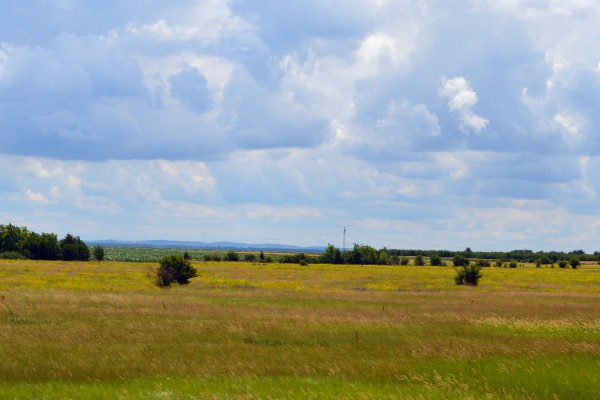 Read more about the article U Zrenjaninu za zakup 7.366 ha državnog poljoprivrednog zemljišta – Oglas