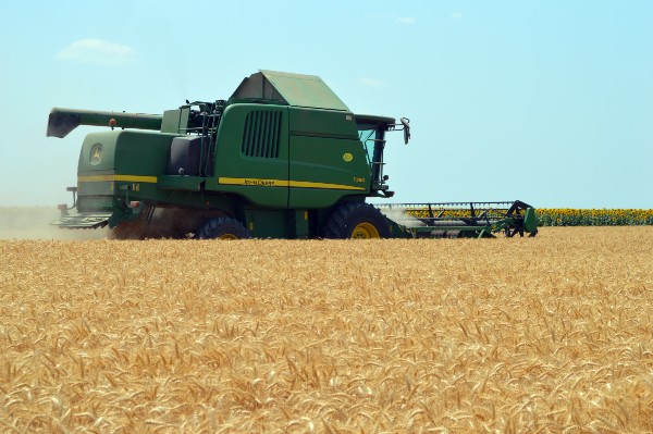 Read more about the article Cena pšenice od 22,34 din/kg pokriva troškove proizvodnje – kalkulacija