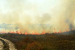 Za zaštitu od požara bespovratno ukupno 30 miliona dinara 6 Kampanja Ne pali strniku