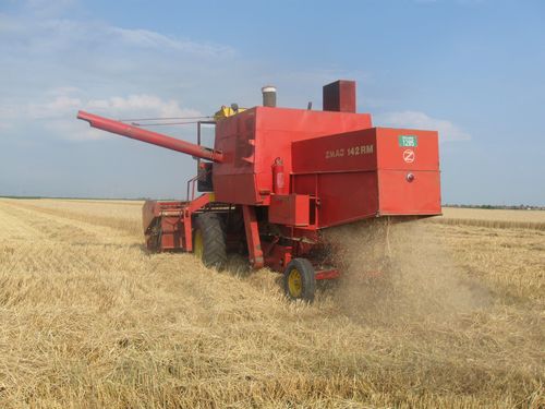 Kombajn u zetvi