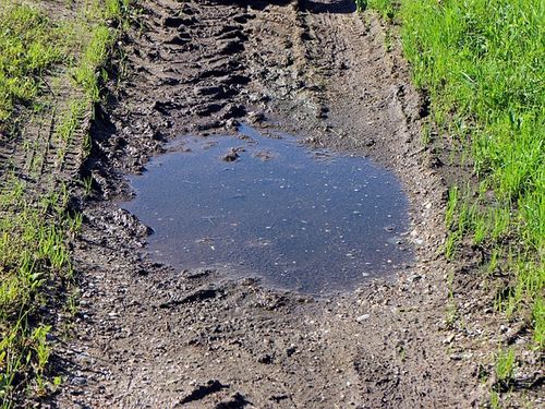blato