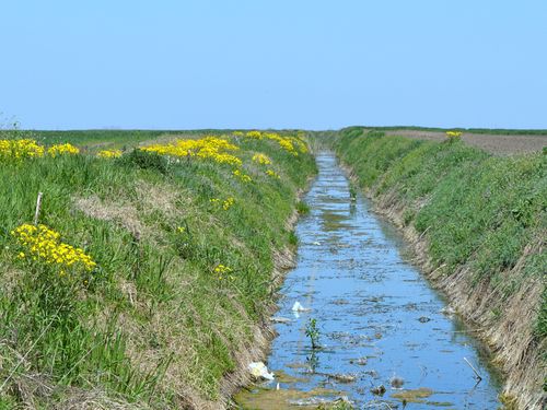 kanal