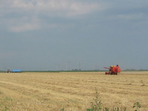 kombajn