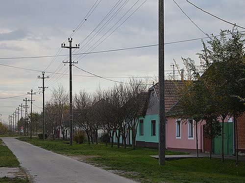 kuce na selu 22