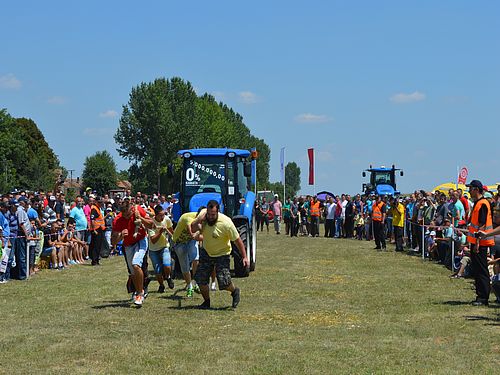 nasslovna