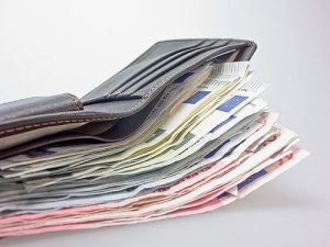 Dva javna poziva u narednim danima, za subvencije 18.000 din/ha i kredite 6 images agrosfera agroteme pare novcanik