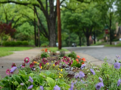 park