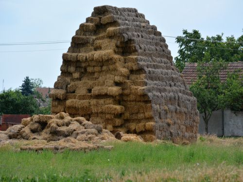 seno na kamari