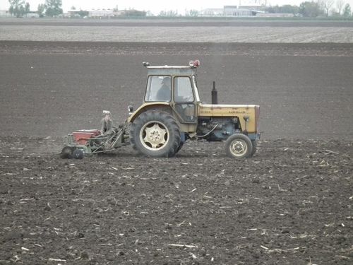 Predsetvena Priprema Zemljišta Za Setvu Kukuruza Poljosfera