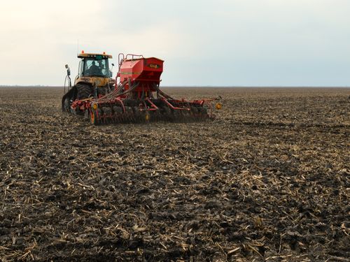 Setva pšenice: Preporuke o roku setve, plodoredu, obradi 6 images agrosfera agroteme setva psenicee 2