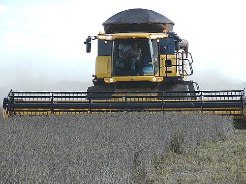 Kupci traže novi kukuruz, cena do 19,80 din/kg 12 images agrosfera agroteme zetva soje 22