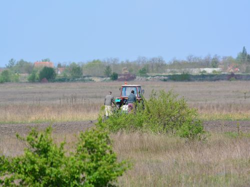 paori na traktoru
