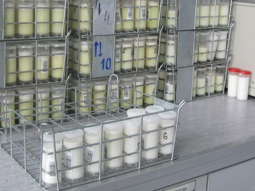 Inspekcijska kontrola pokazala da nema zloupotreba mleka u prahu u UHT mleku kod tri proizvođača 6 uzorci mleka