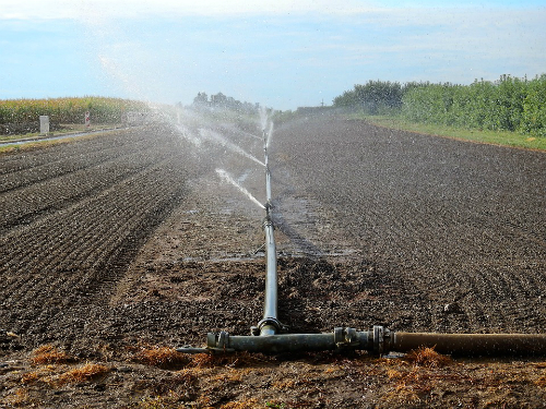 Navodnjavanje orošavanjem na 89,2% ukupno navodnjavanih površina u Srbiji 6 navodnjavanje parcele 1