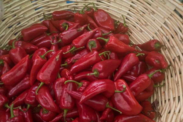 Na veletržnici promet šljive veći 40 odsto u odnosu na prethodni period 6 paprika na veletrznici