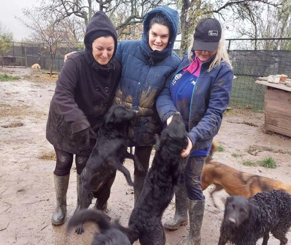 Udruženje „Zelene šape“ pomaže napuštenim životinjama i čuva prirodu 16 zelene sape volonteri