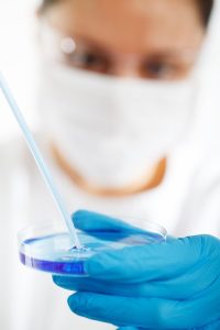 Saznajte šta je mikropropagacija i koje su prednosti ovakve metode uzgajanja biljaka 6 Mikropropagacija laboratorija
