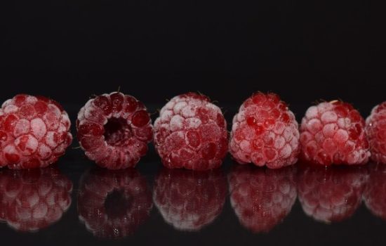 Fruit-Logistica-sajam