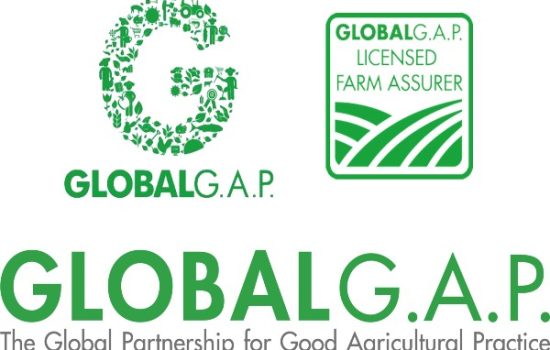 Global-gap
