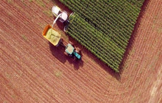 Intesa-farmer_fotografija
