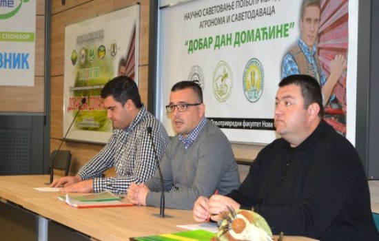Nedimovic-2-dobar-dan-domacine