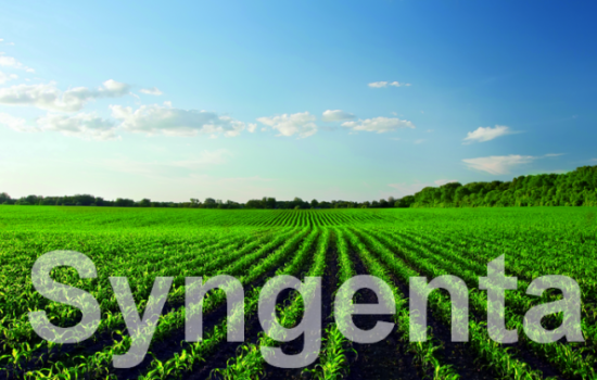 Syngenta_corn_green_zasticeno-e1522184755532