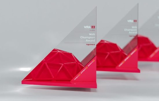 Web-Retailer-Award