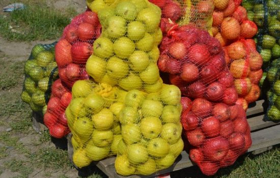 Zaštita kasnostasnih soti jabuka