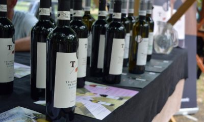 banatski-festival-vina-flase