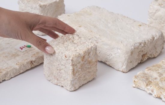 biosporin-kocke-1