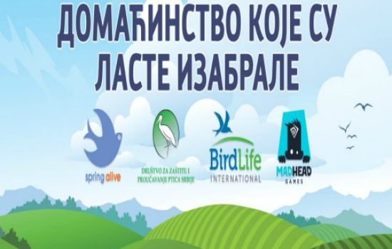 domacinstvo-koje-su-laste-izabrale