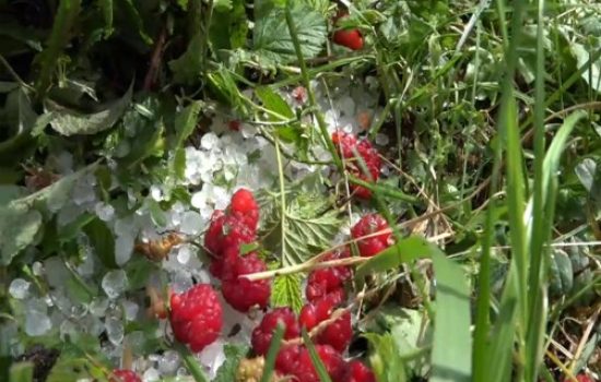 grad-maline-Priboj-foto-gzs