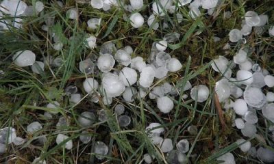images_agrosfera_agroteme_grad_loptice