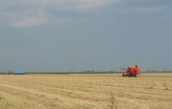 kombajn