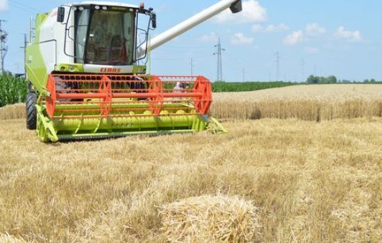 images_agrosfera_agroteme_kombajn_zetva_psenice