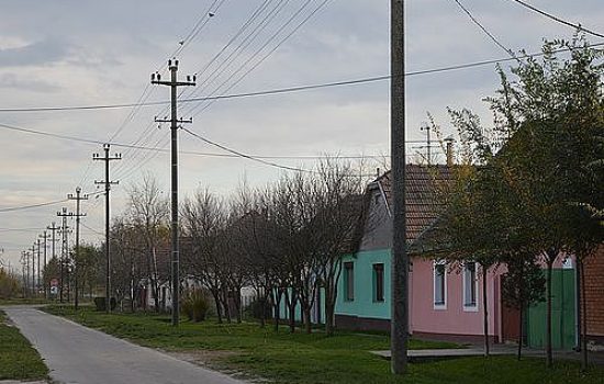 kuce na selu 22