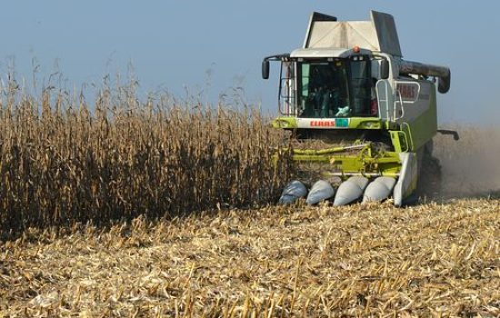 images_agrosfera_agroteme_kukuruz_kombajniranje_2