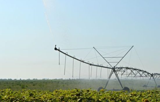 images_agrosfera_agroteme_navodnjavanje_rendzer