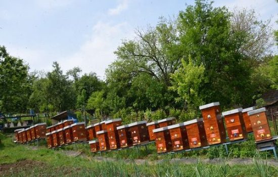 images_agrosfera_agroteme_pcelinjak